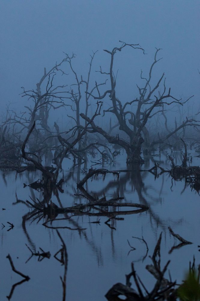 Photograph by Miguel Diaz