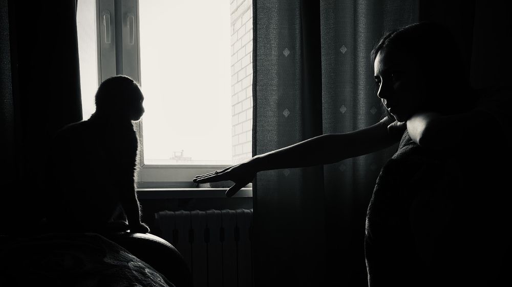 Фотография автора Владислав Рудков