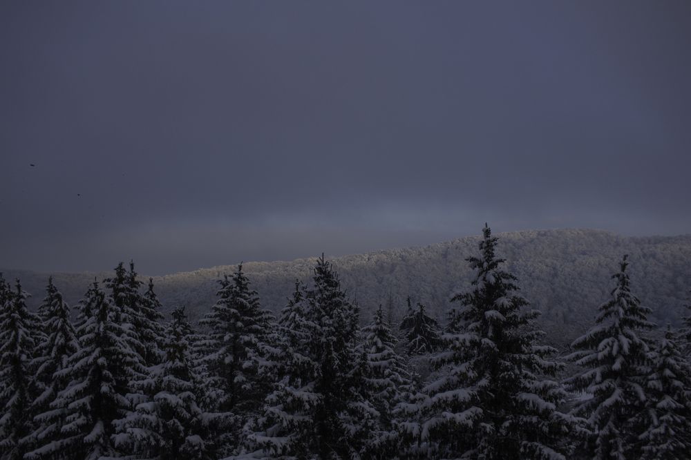 Граница дня и ночи