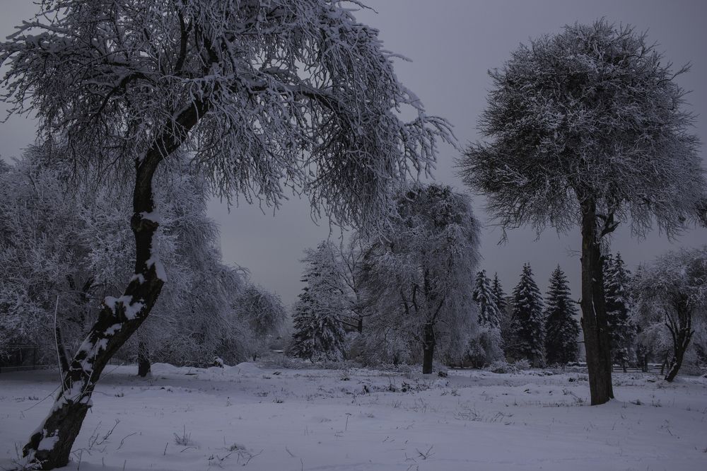 Нежный февраль