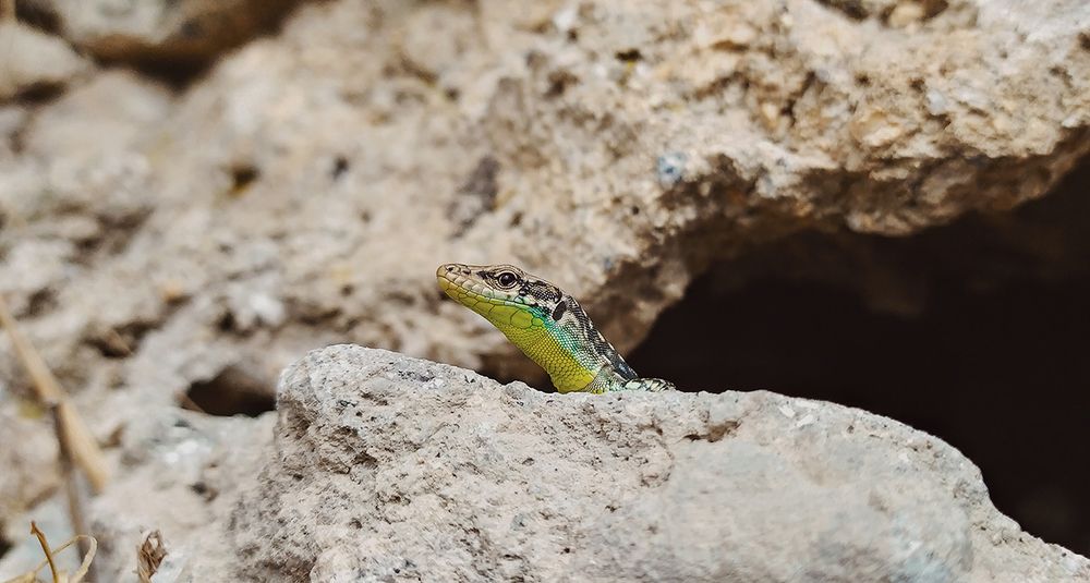 Photograph by Keyvan Hosine pour