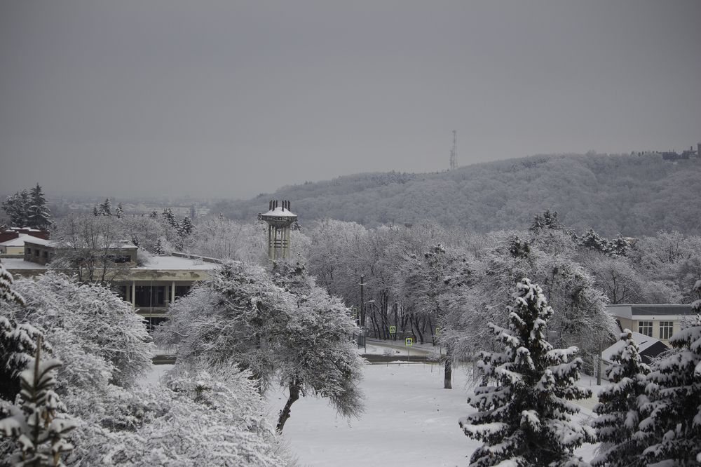Тишина февраля