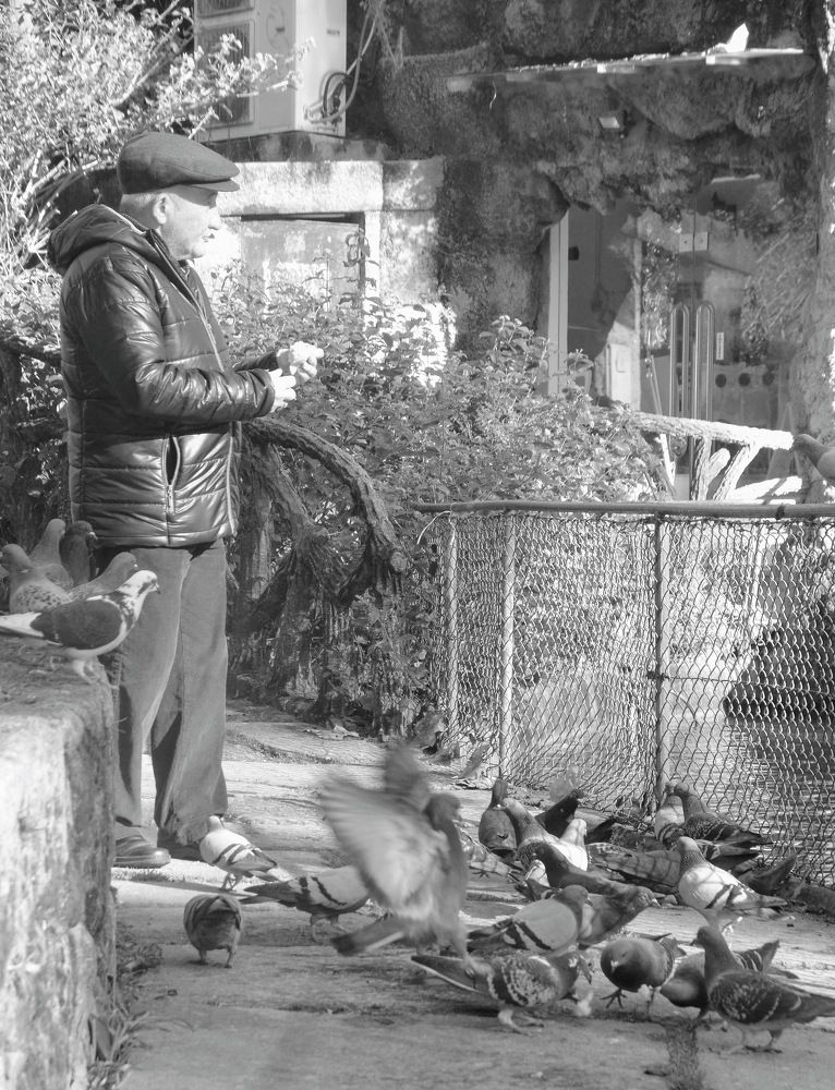 Photograph by Maria Teresa Teixeira de Sousa