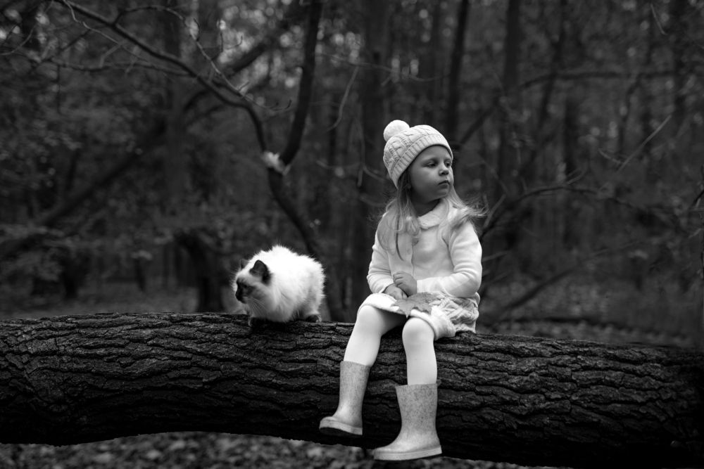 Photograph by Юлия Злотник