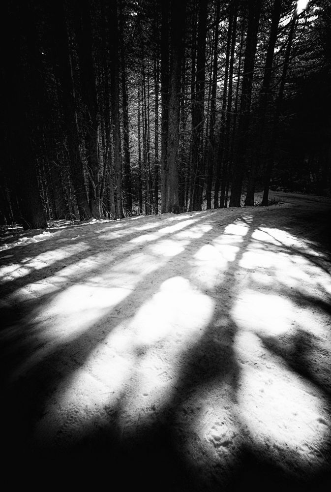 Photograph by Ivanka Iantcheva