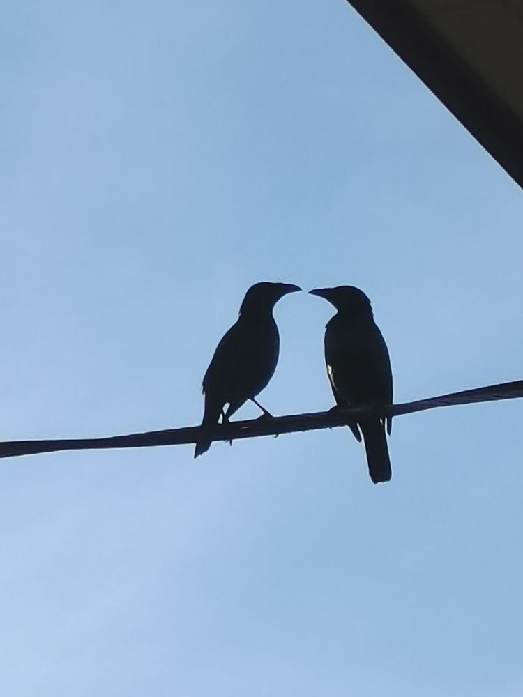 Photo #5946914