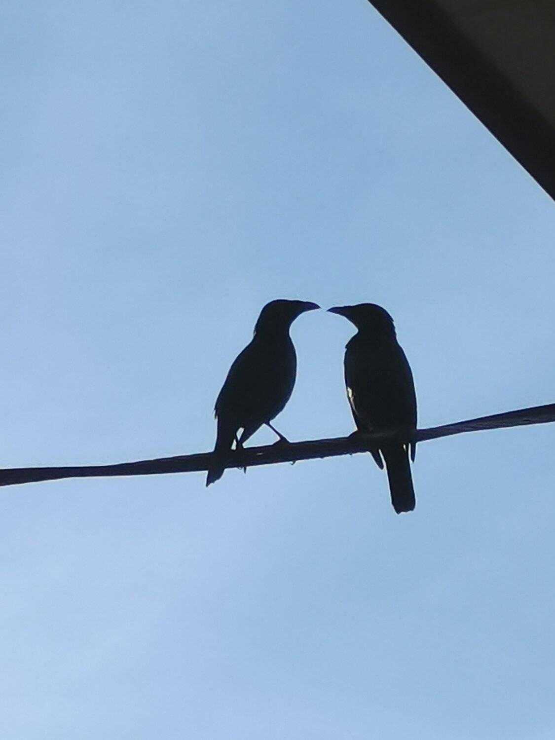 Photo #5946914