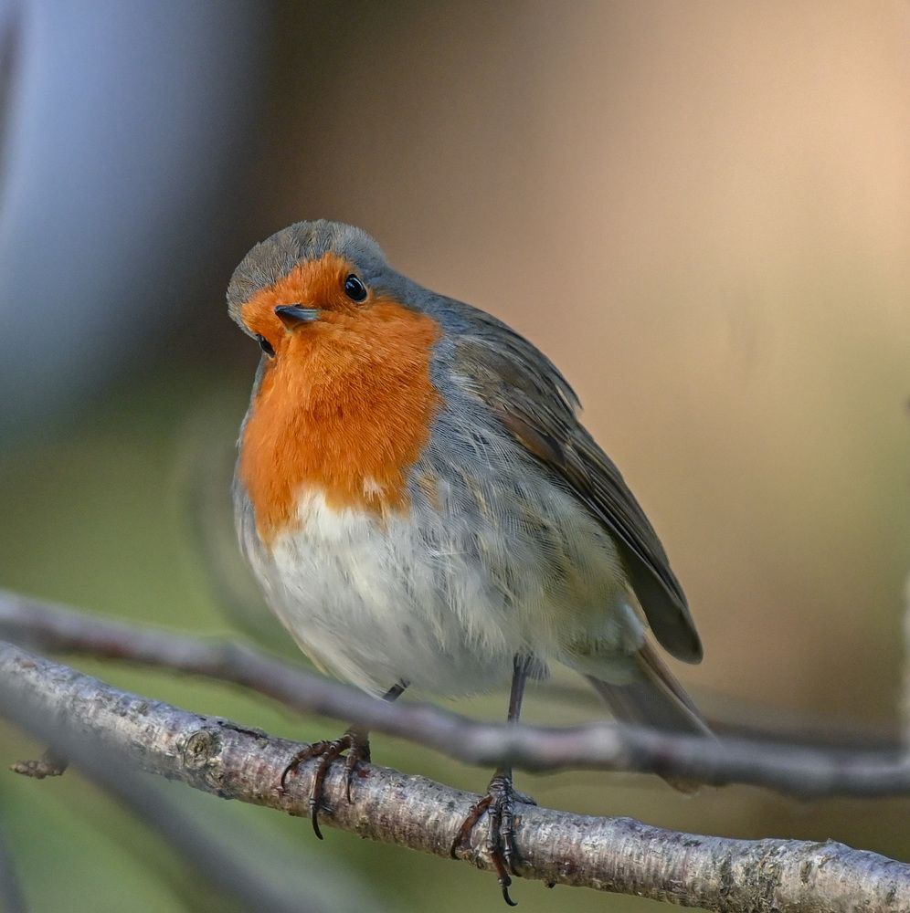 Photograph by Курлянцев Алексей