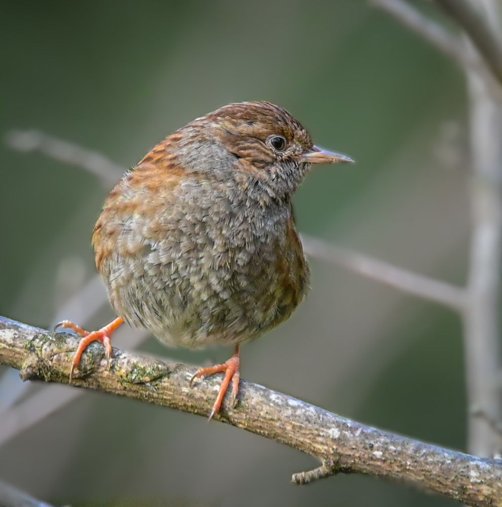 Photograph by Курлянцев Алексей