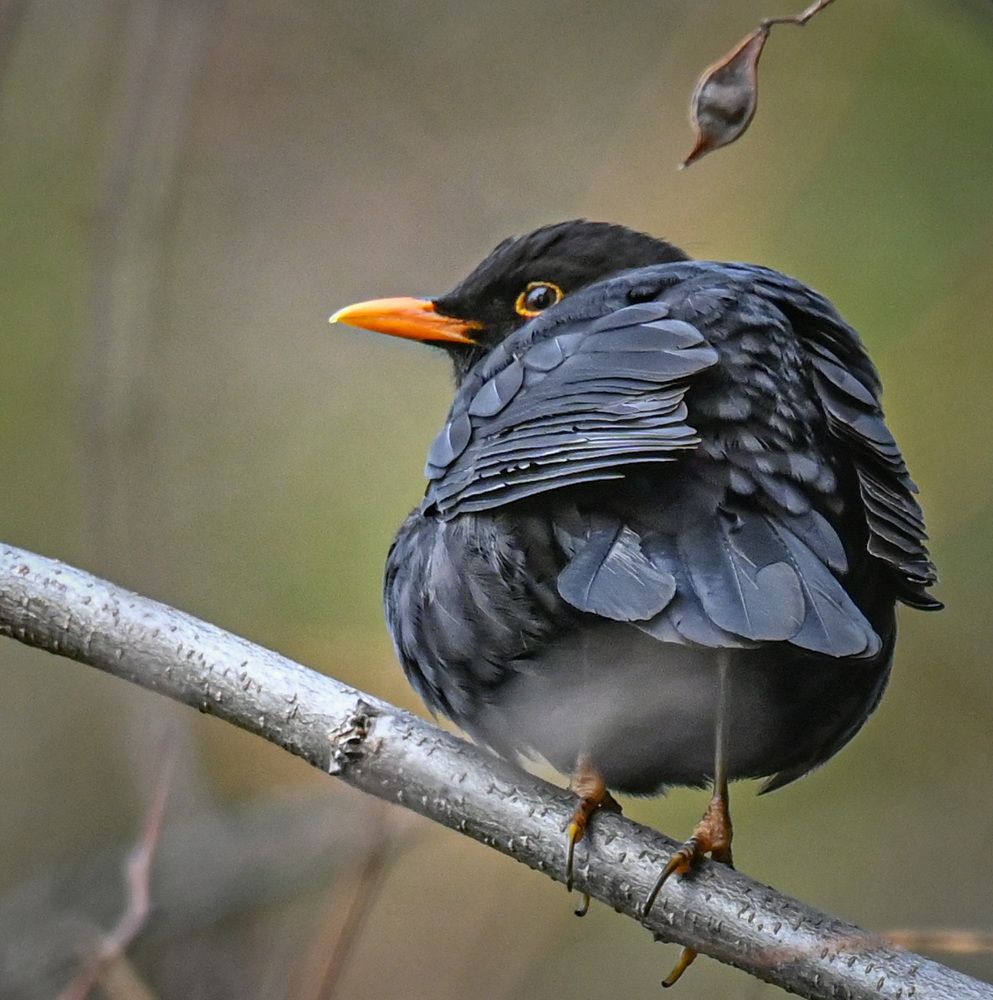 Photograph by Курлянцев Алексей