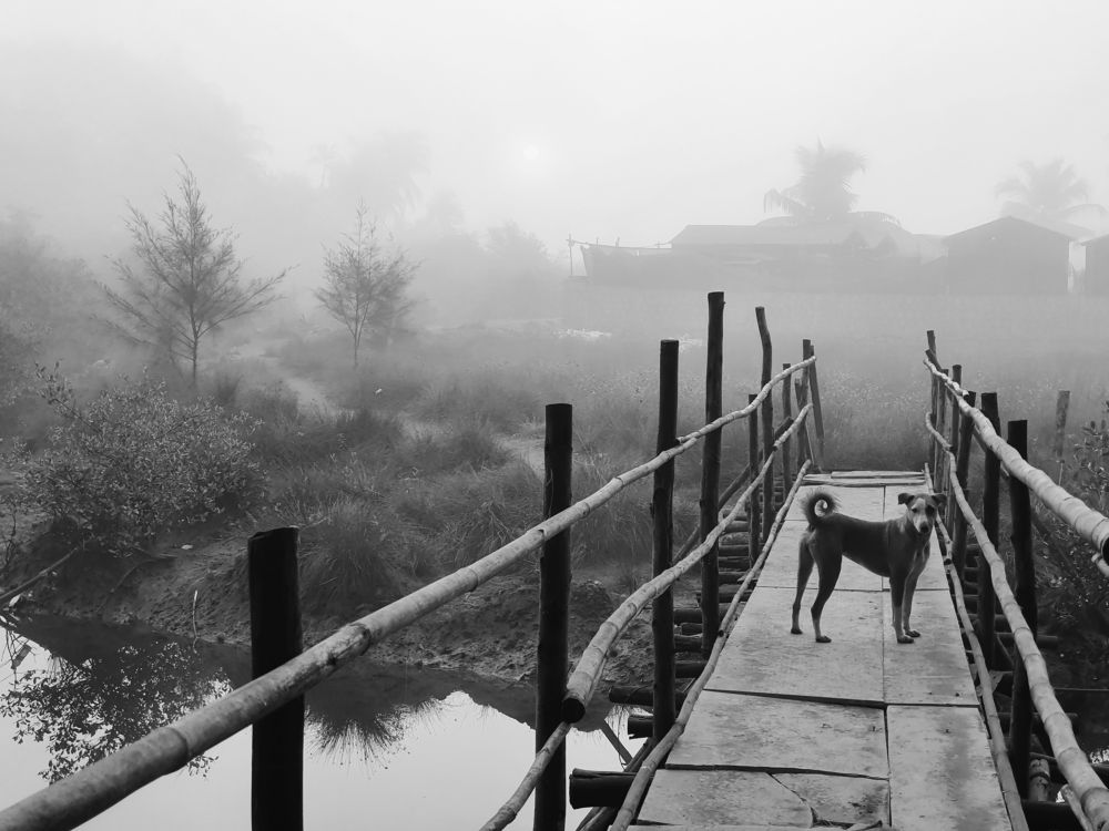 Photograph by Елена Каменецких