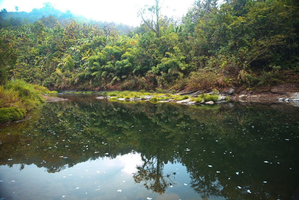 Photograph by Syed Mashud Al Hasan Mashud