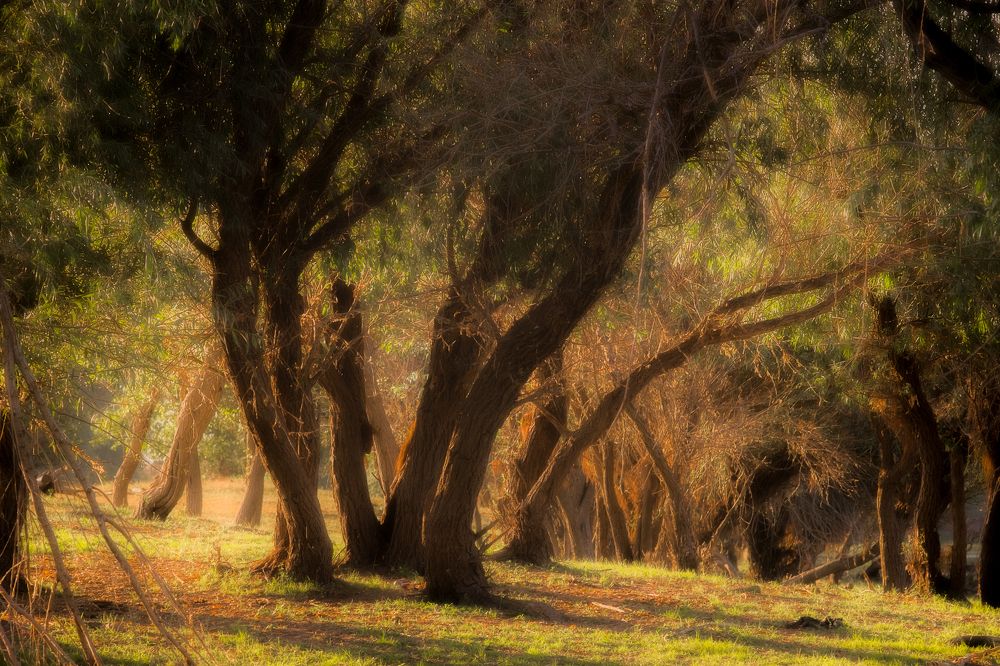 Photograph by Владимир Орлов