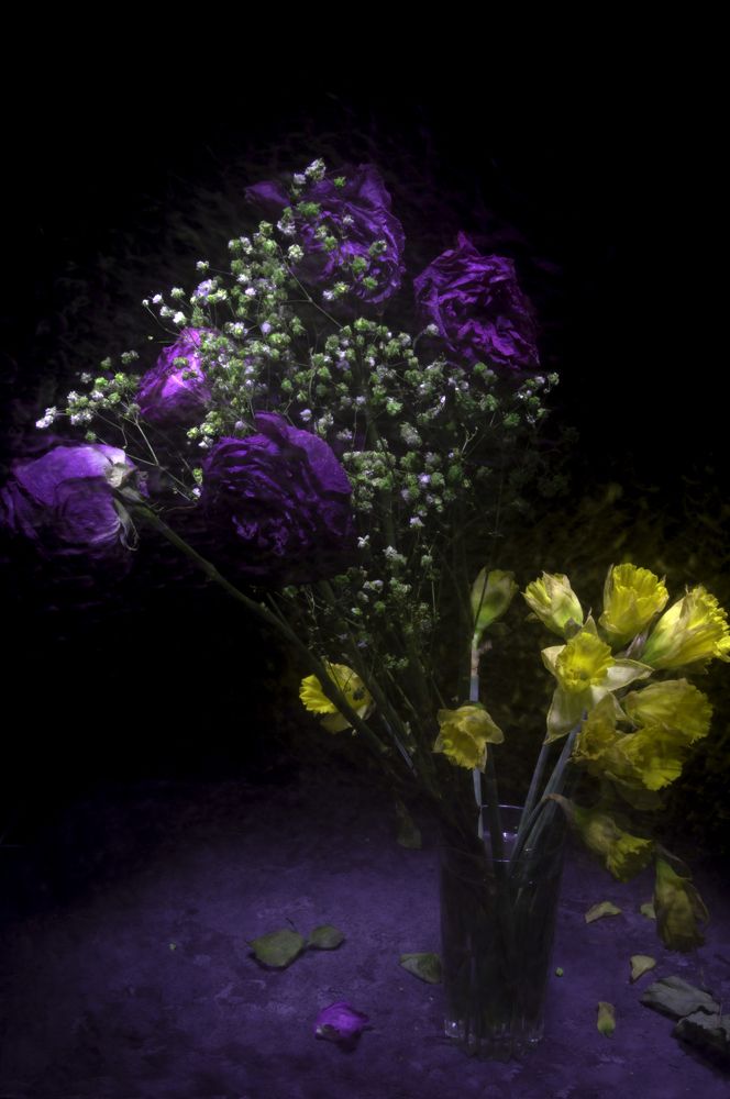 Photograph by Денис Ершов