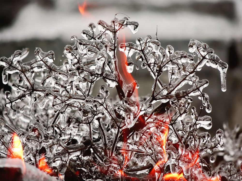 Photograph by Роман Савоцкий