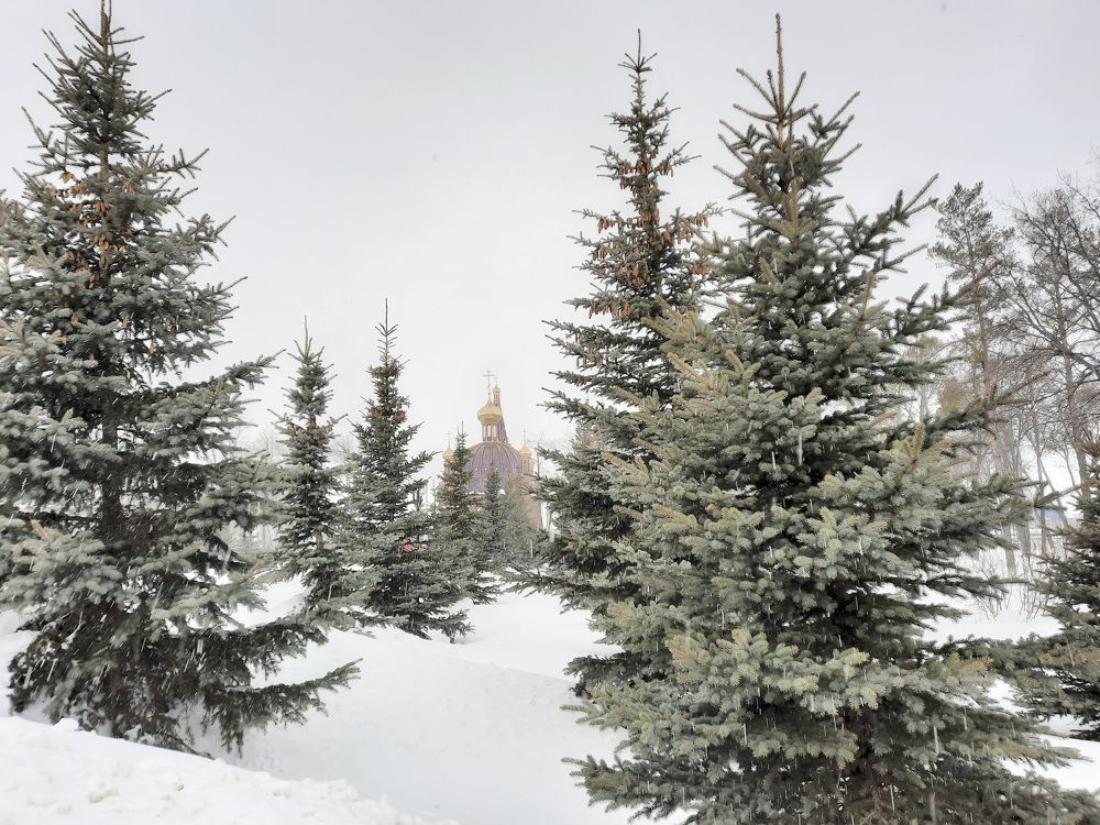 Photograph by Elena Khalizova