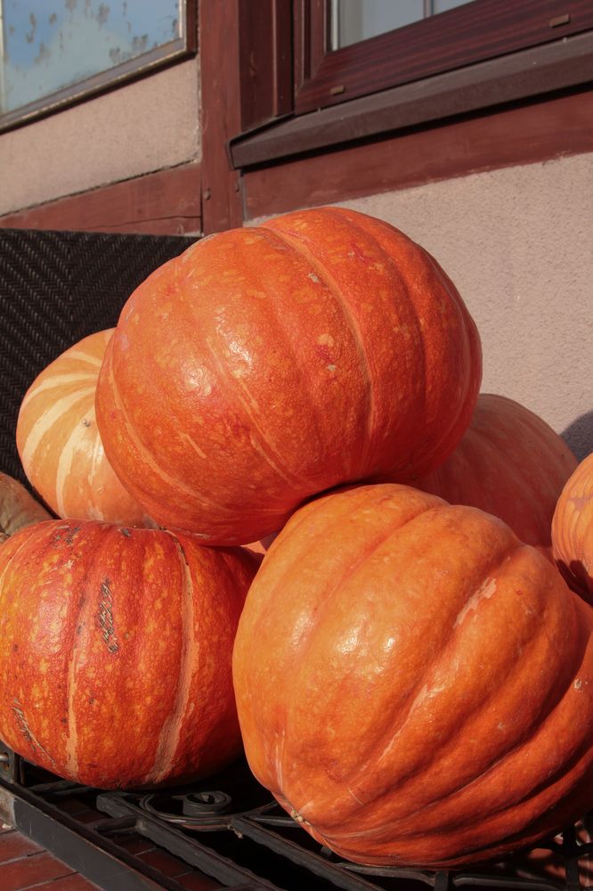 Photograph by Сергей Романченко