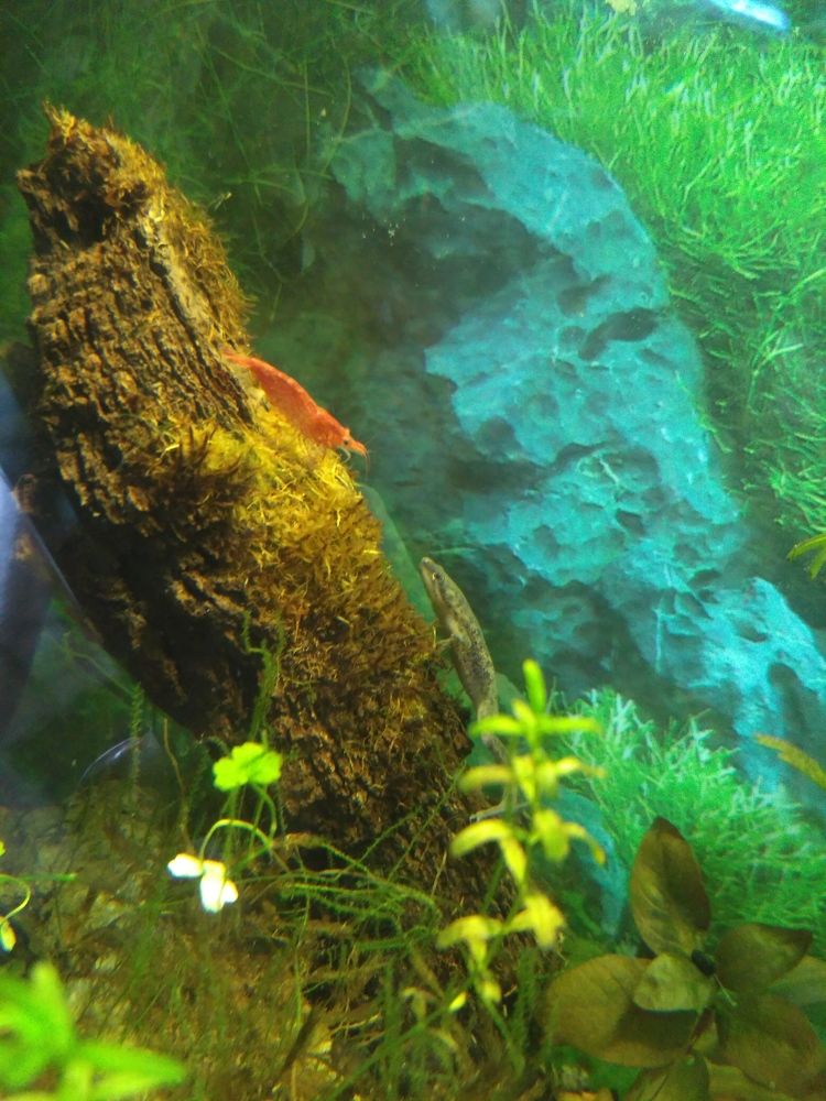 Photograph by Марина Александрова