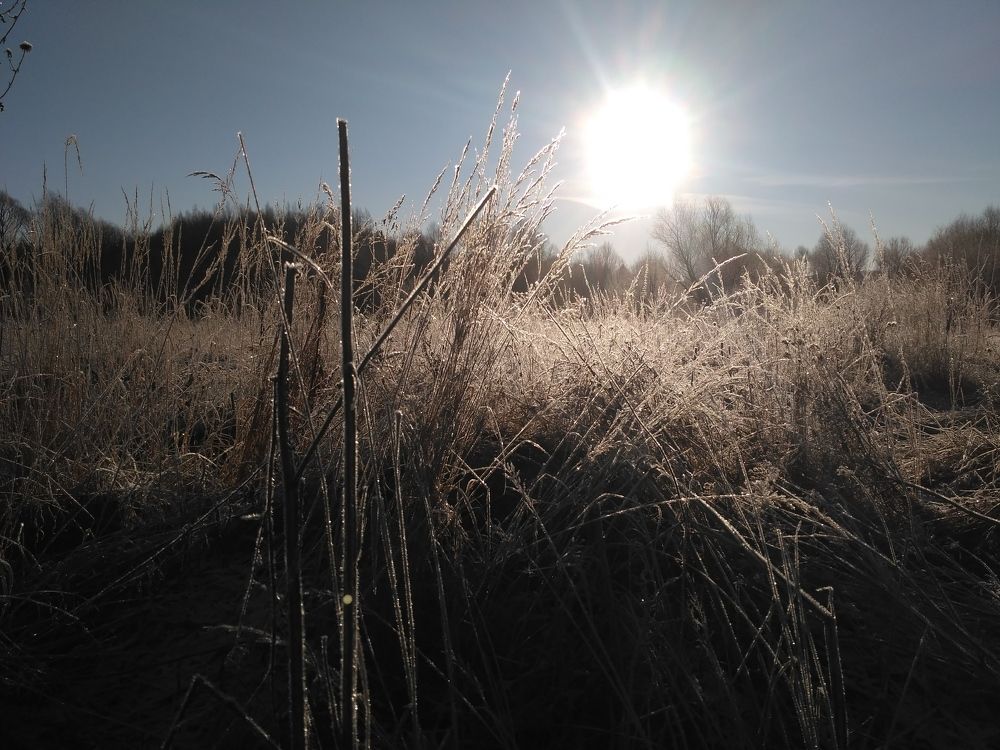 Декабрьским утром.