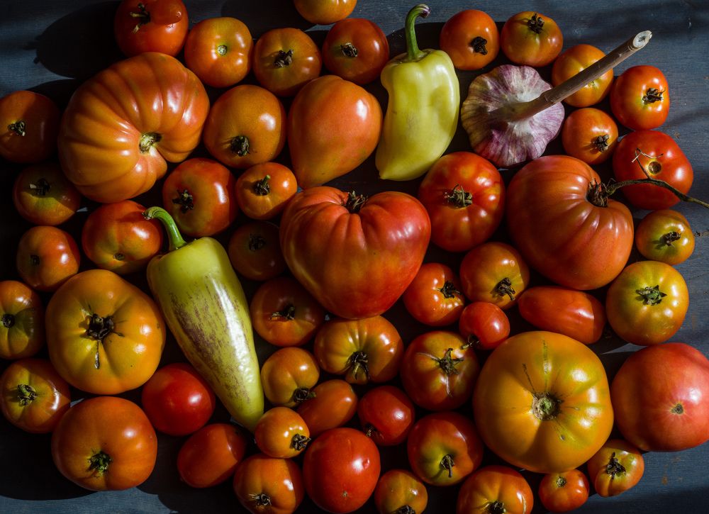 Photograph by Валентина Кананина