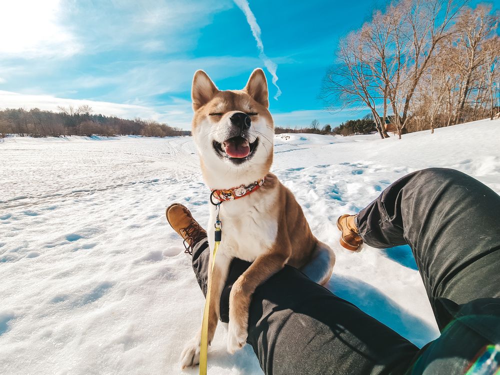 Photograph by Екатерина Фурсова