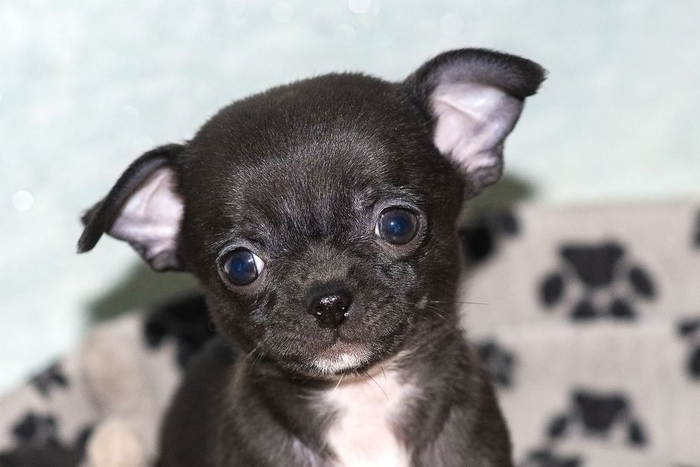 Photograph by Лариса Ежкова