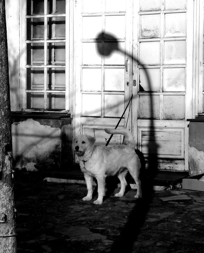 Photograph by Александра Морозова