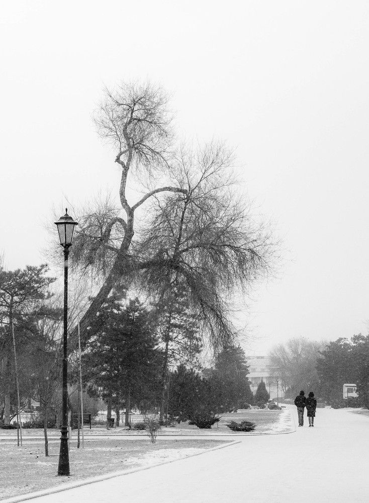 Photograph by Владимир Самосватов