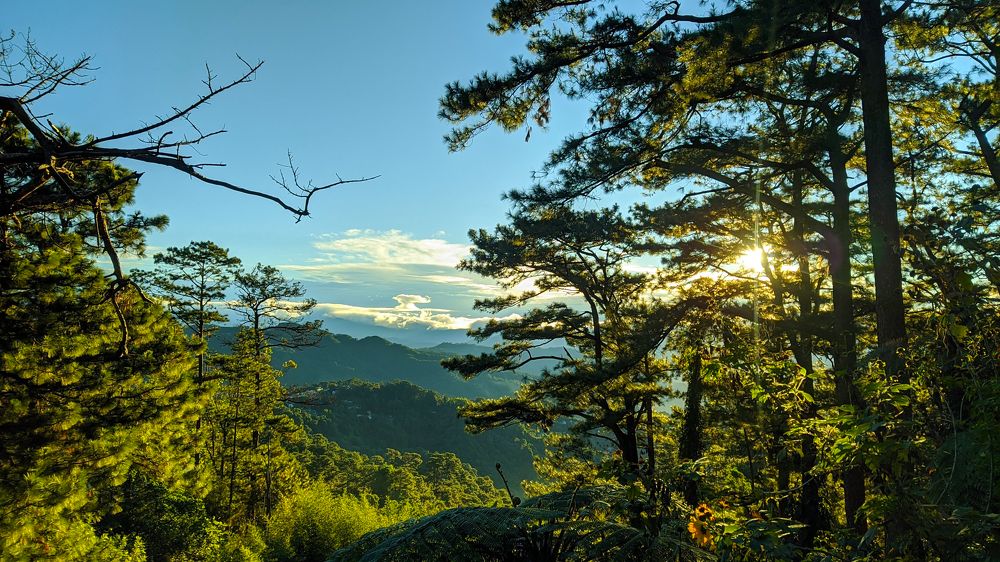 Photograph by crisanto sampaga