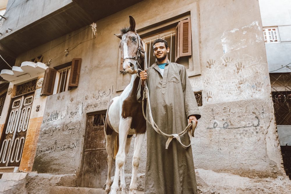 Photograph by mohamed rasta