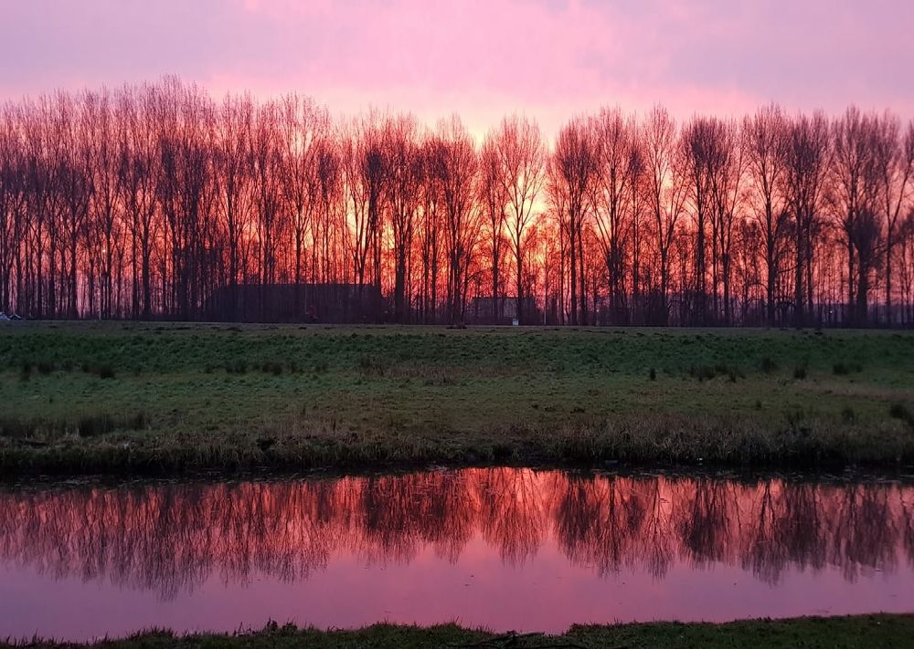 Photograph by Natalija Bucinska