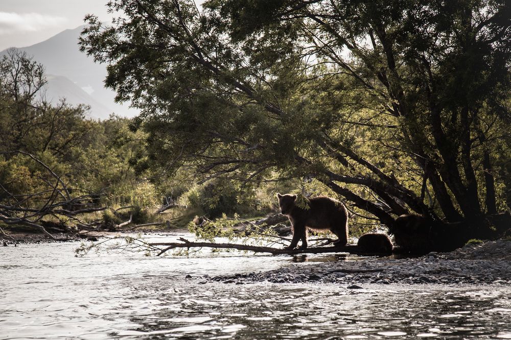 Photograph by Veronika Trubnikova