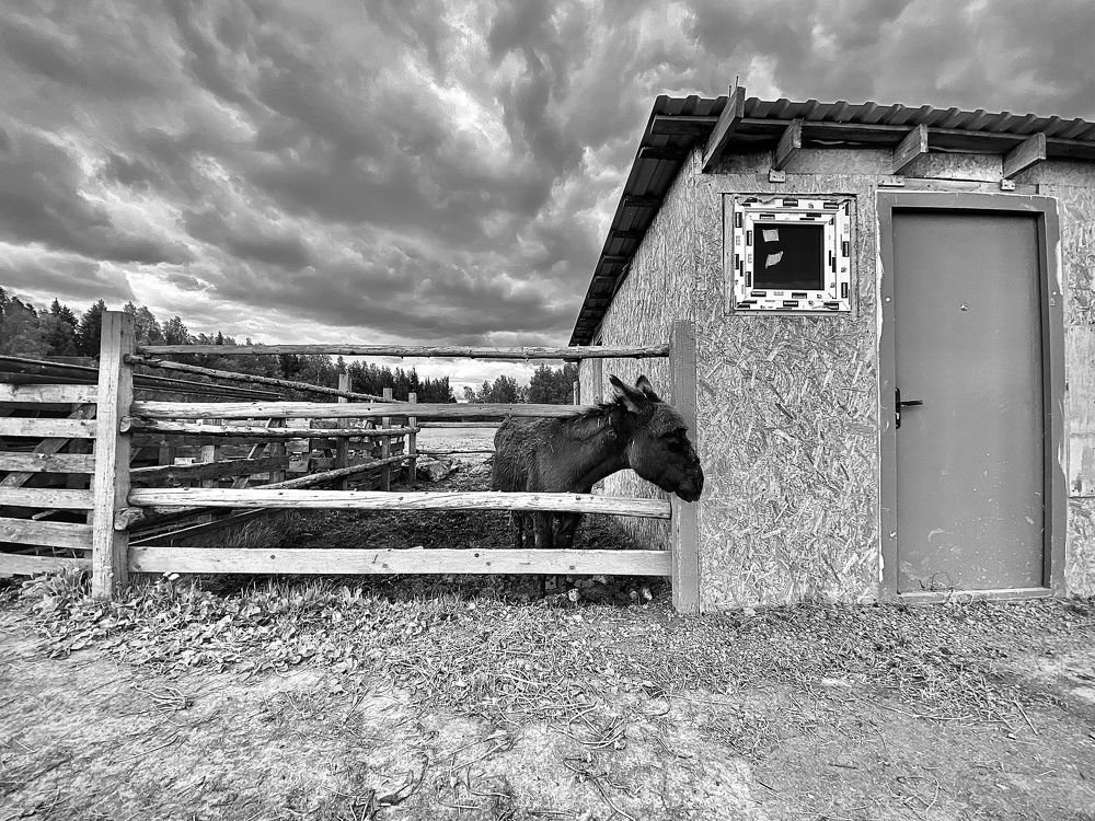At the Farm