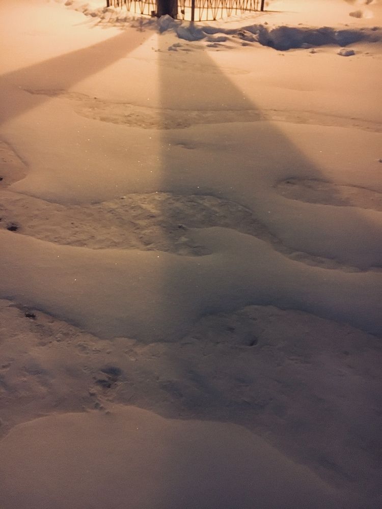 Photograph by Василиса Канакова