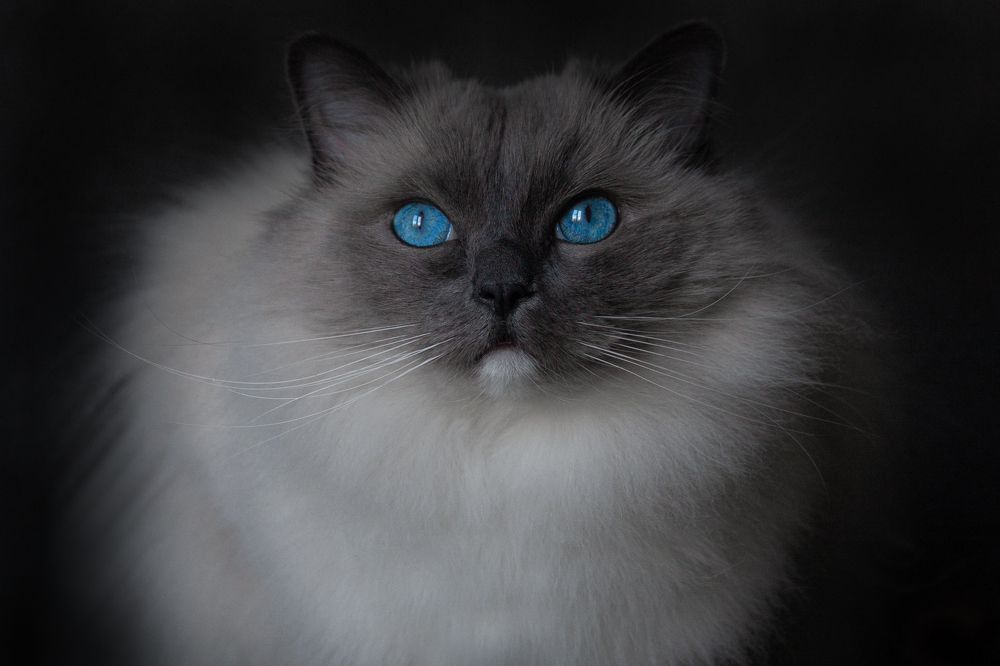 Photograph by Irina Galkina