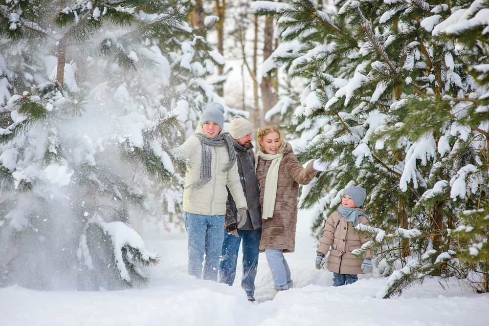 Photograph by Екатерина Голубкова