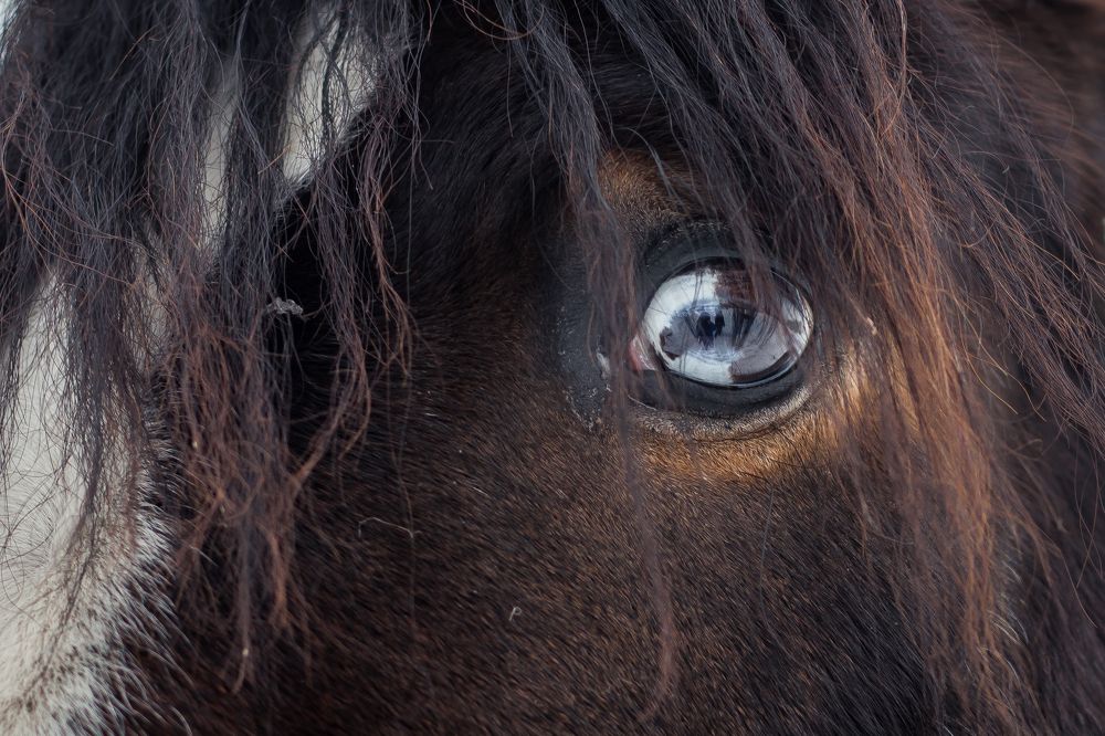 Photograph by Марина Кирпичникова