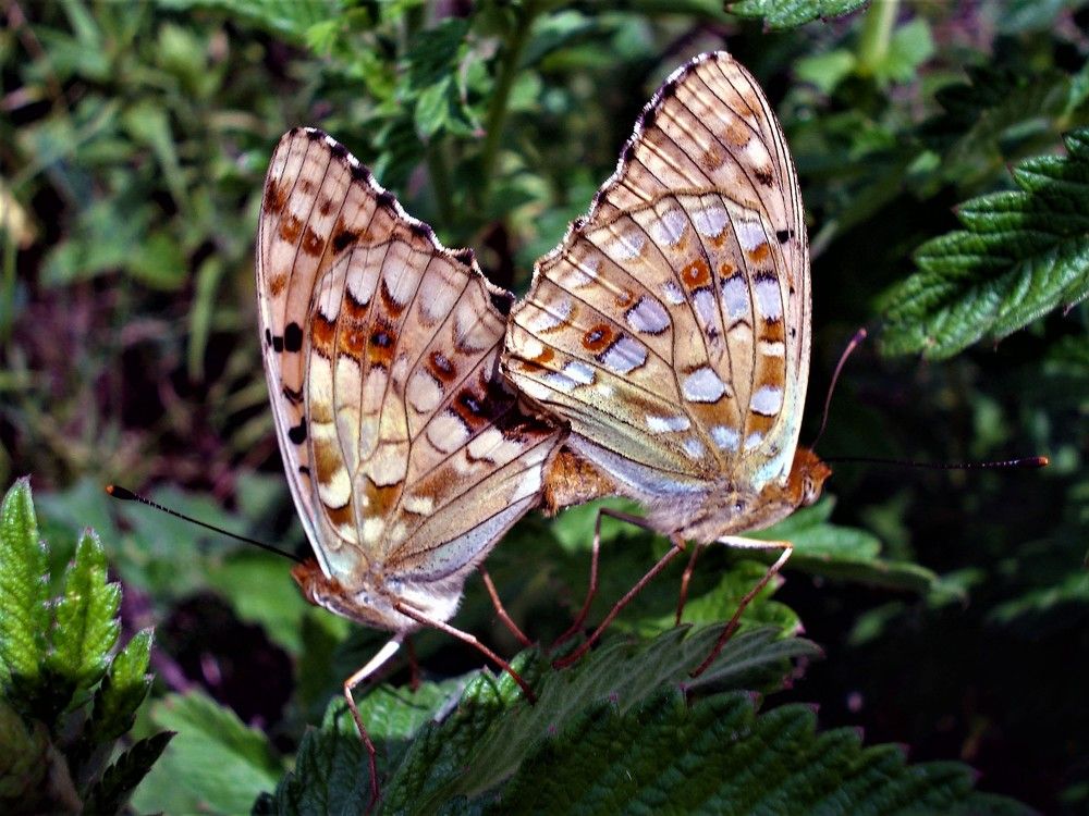 Photograph by Федоренко Элеонора