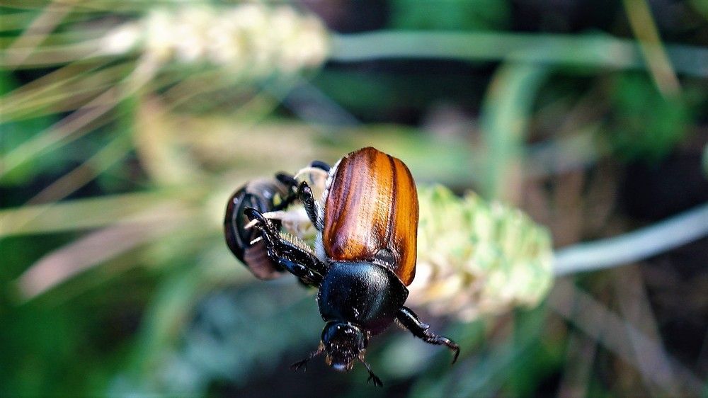 Photograph by Федоренко Элеонора