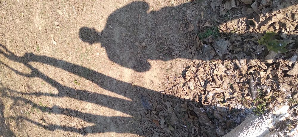 Photograph by Anubhav Saxena