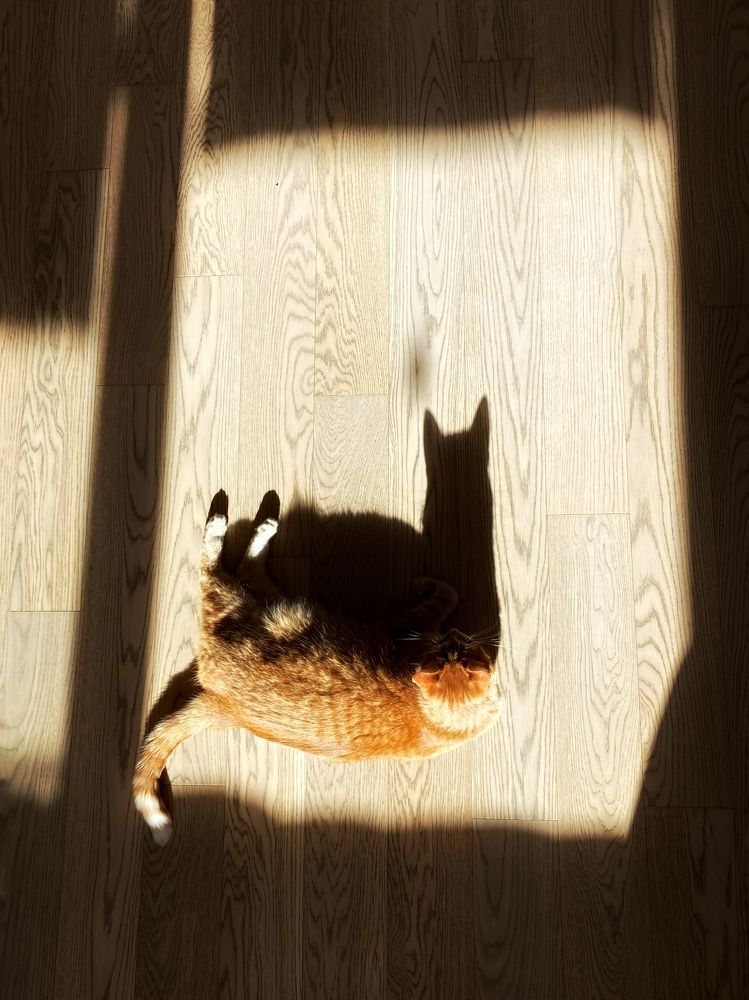 Photograph by Анастасия Сошенкова