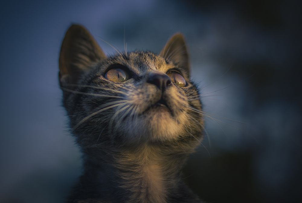 Photograph by Minh Chu Van