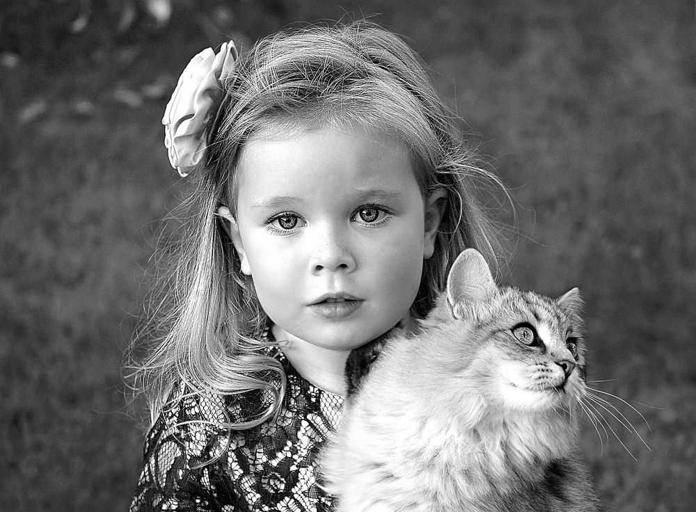 Photo #5948357