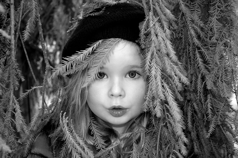 Photo #5948369