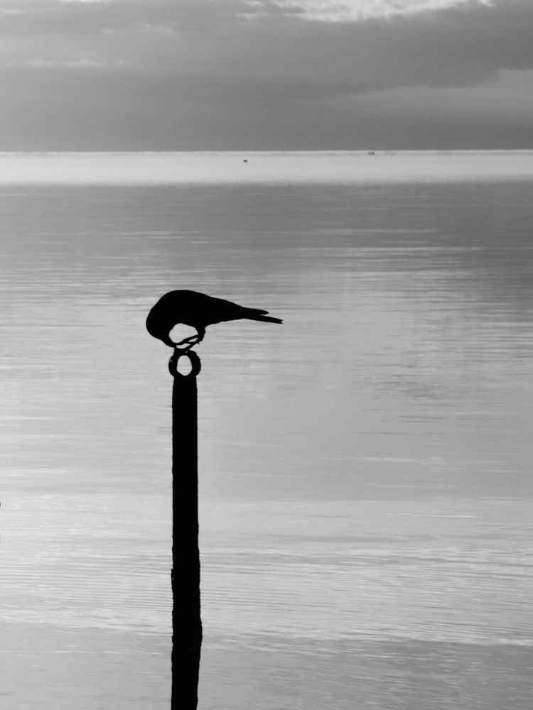 Photograph by Марина Курныш