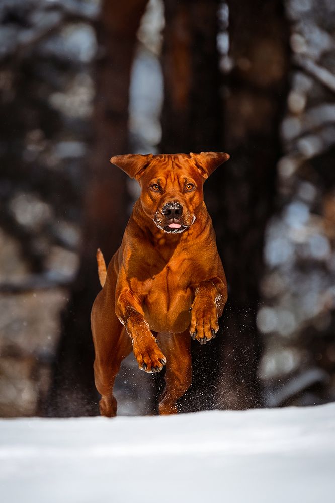 Photograph by Ольга Хазай