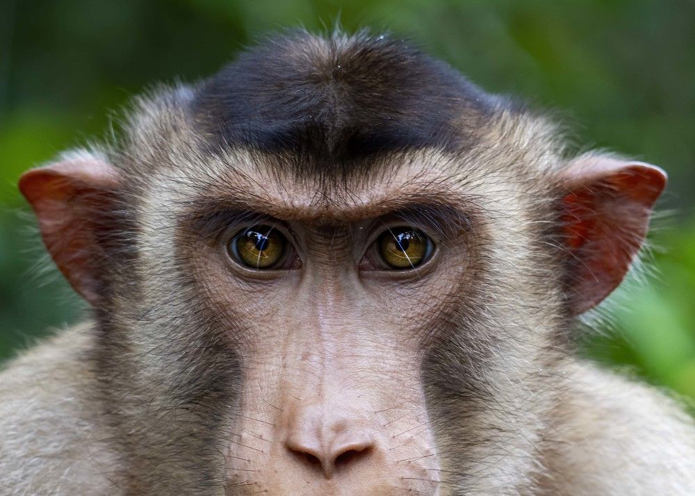 Photograph by Cindy Quek