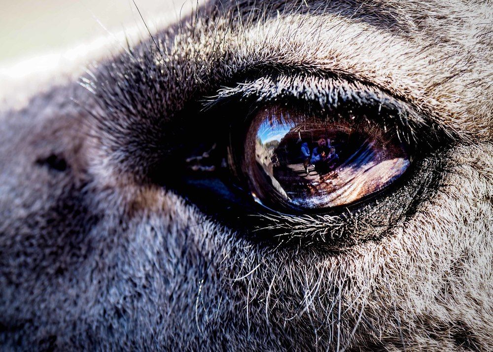 Photograph by Cindy Quek