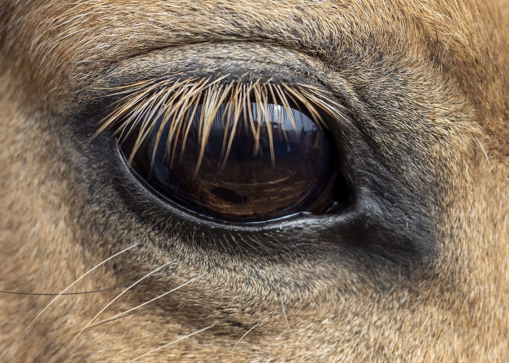 Photograph by Cindy Quek