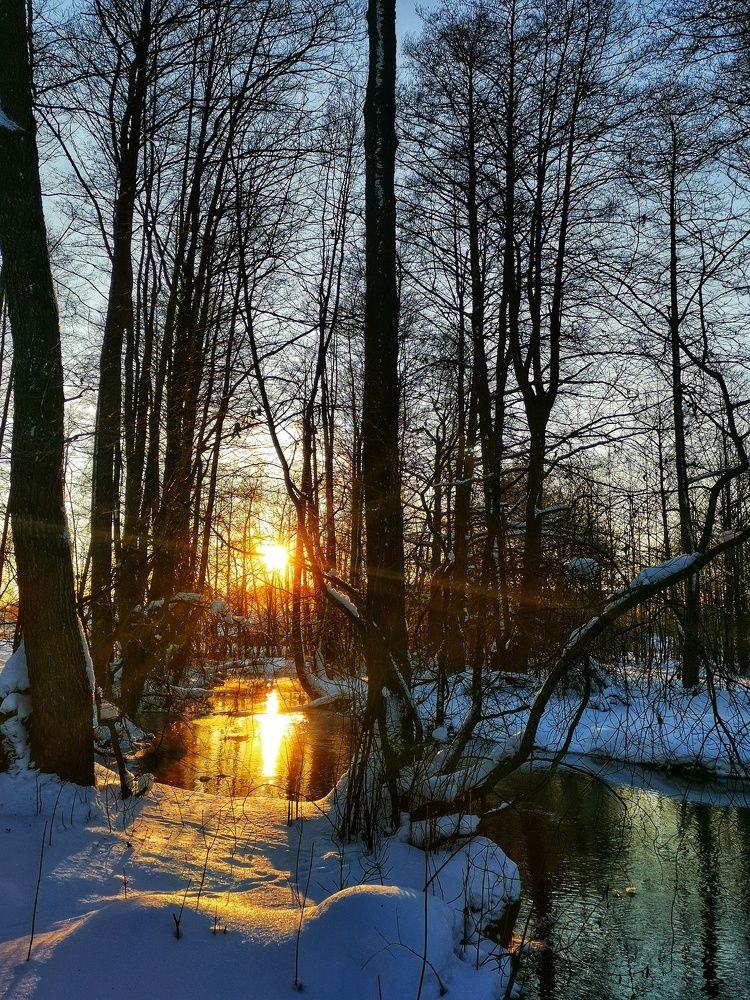 Photograph by Екатерина Ремез